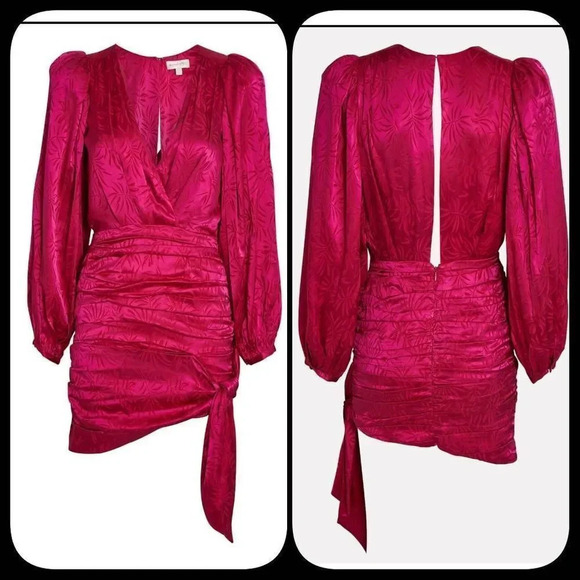 Ronny Kobo Giorgia Ruched Jacquard Mini Dress